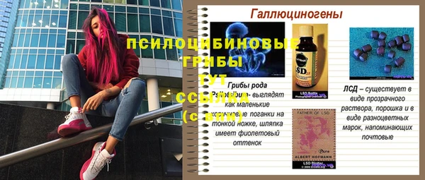 герыч Ладушкин