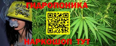 дмт Ипатово