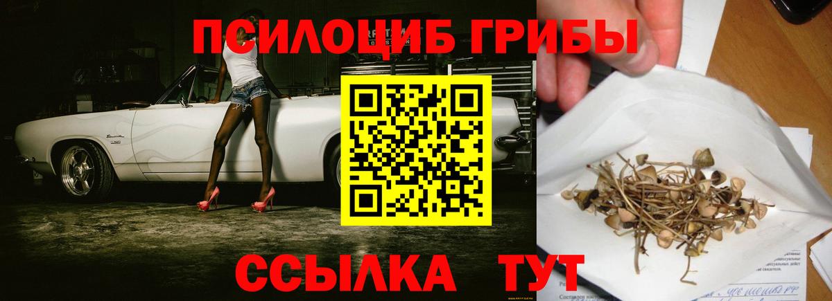 Юрга  Псилоцибиновые грибы мухоморы  Вход с VPN 